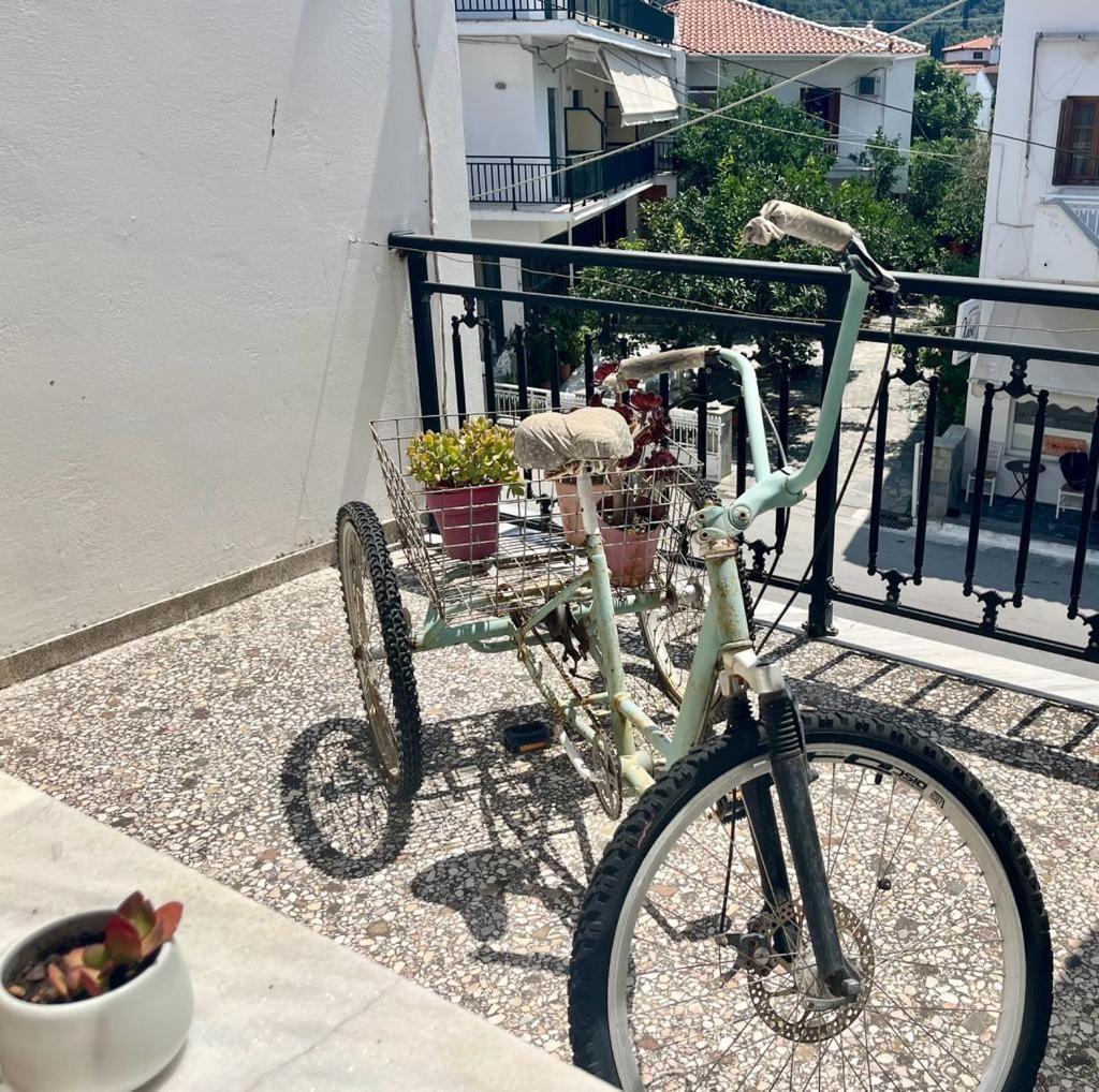 Samos - Kokkari - Eirini'S Studios Zewnętrze zdjęcie
